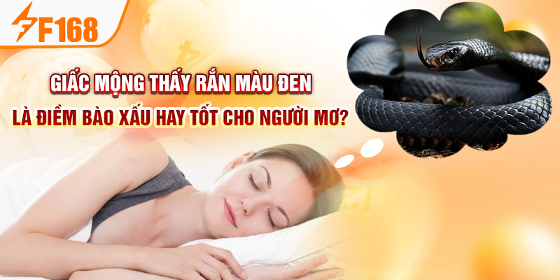 Mơ Thấy Rắn Là Điềm Báo Gì? Nên Đánh Đề Con Gì May Mắn F168 Giấc mộng thấy rắn màu đen là điềm bào xấu hay tốt cho người mơ?